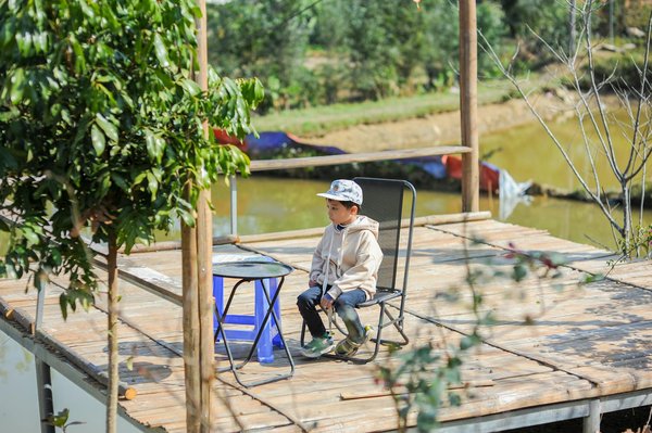 Quels impacts la digitalisation a-t-elle sur l'éducation ?