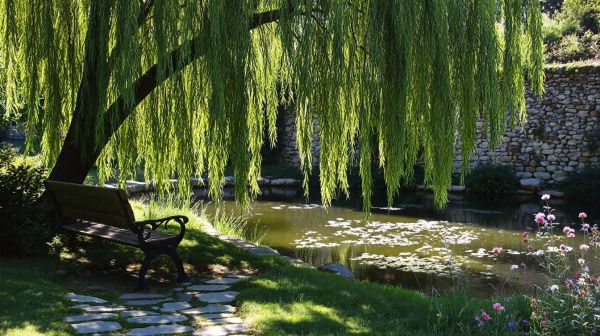 Top 5 paysagistes à Ouzouer-sur-Trézée pour votre jardin